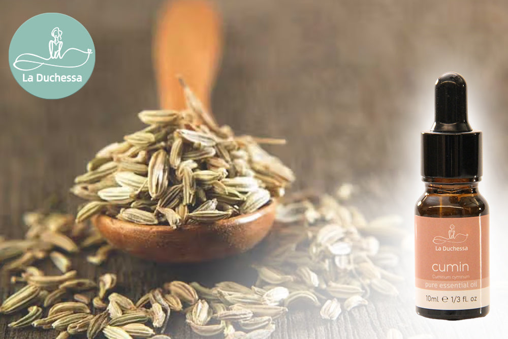 Benefits and Uses of Cumin Essential Oil